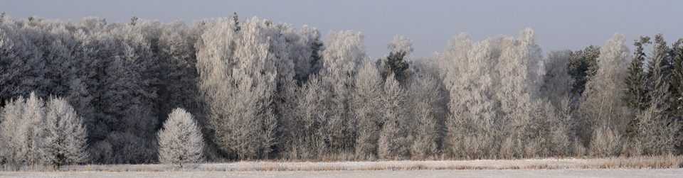 Świat moimi oczami